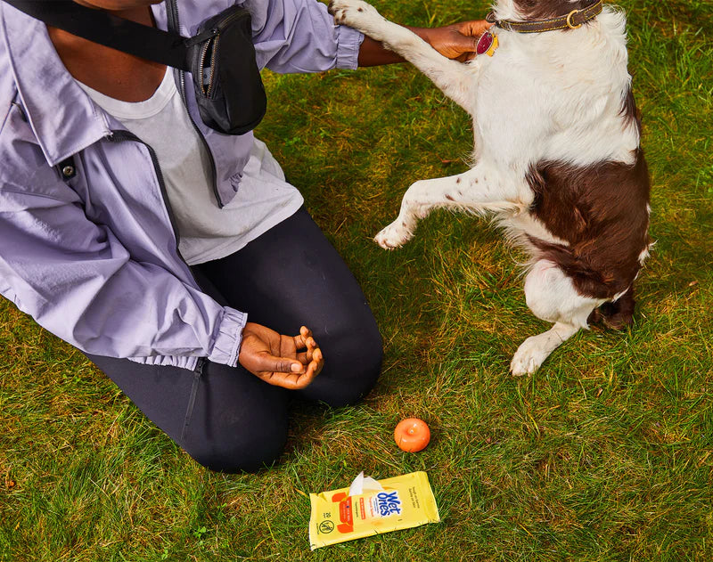 Woman playing with dog at park with wet ones sanitizing wipes to clean up sanitize hands